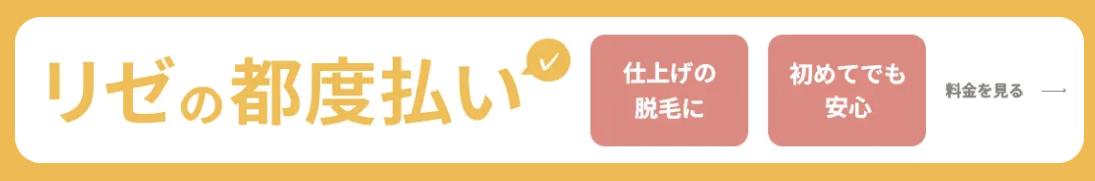 リゼクリニック都度払い